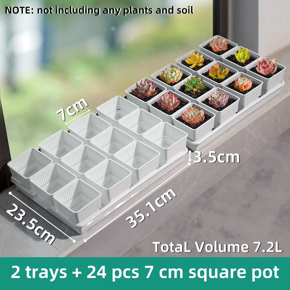 Meshpot Succulent Pot with 360 Degree Ventilation and Drainage
