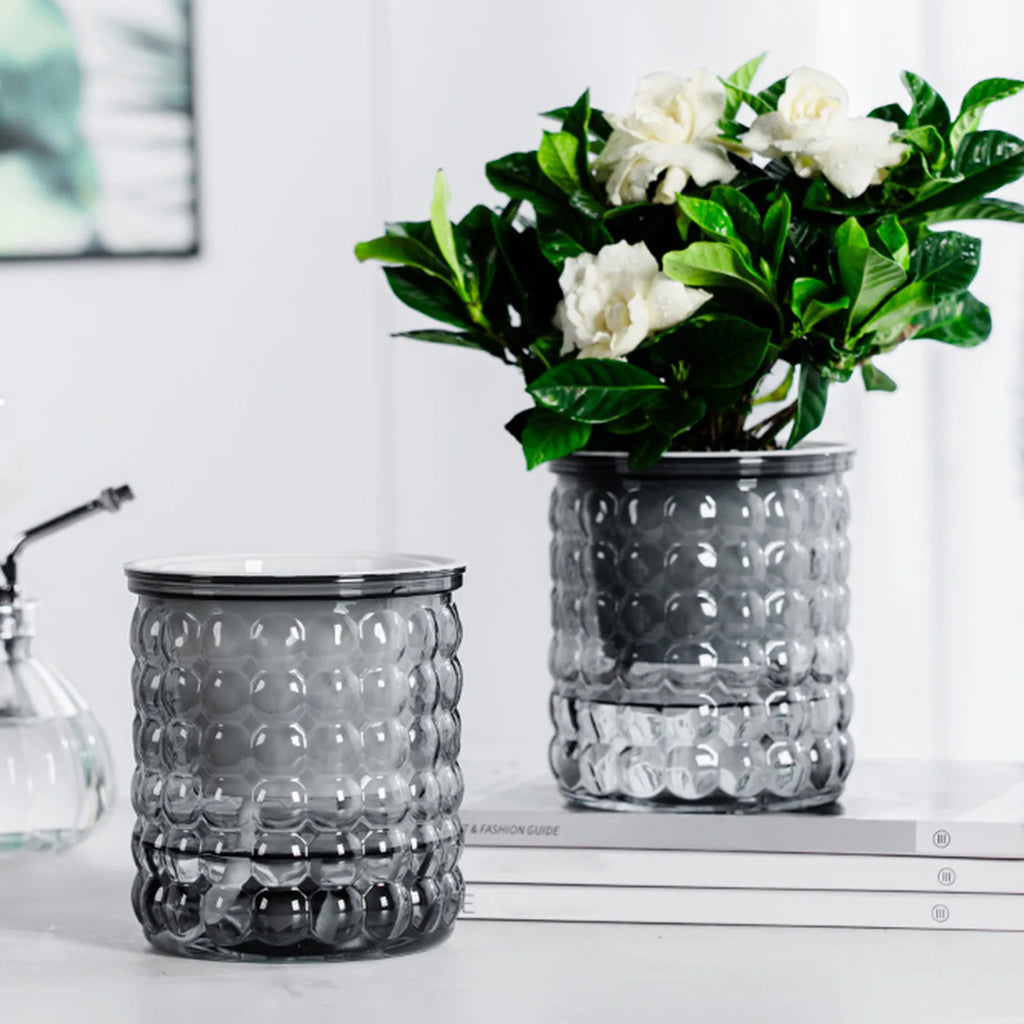 Self-Watering Hydroponic Plant Pot – Modern Desktop Succulent Planter for Home & Office Decor