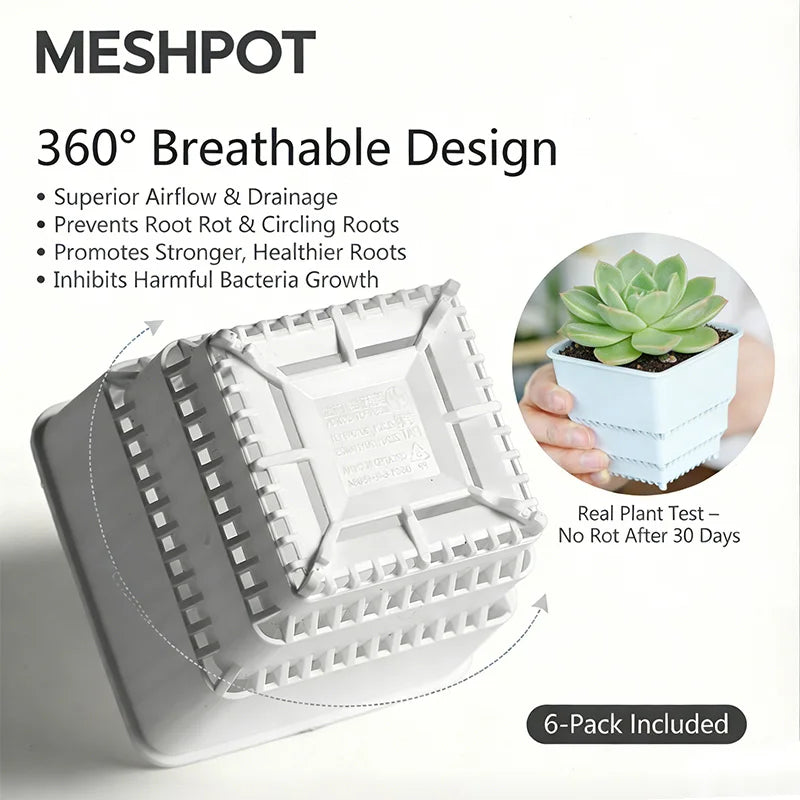 MESHPOT 6 Pack Square Succulent and Cactus Pots