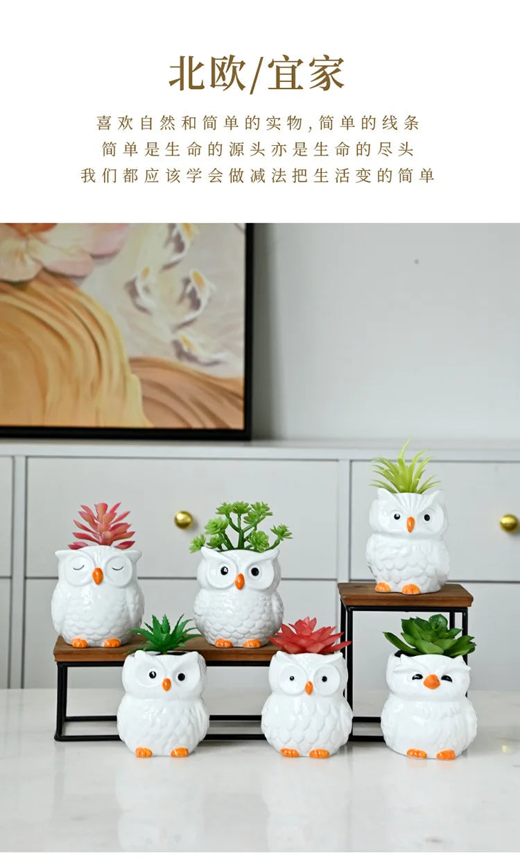 Mini Cute Owl Bonsai Ceramic Succulent Flower Pot