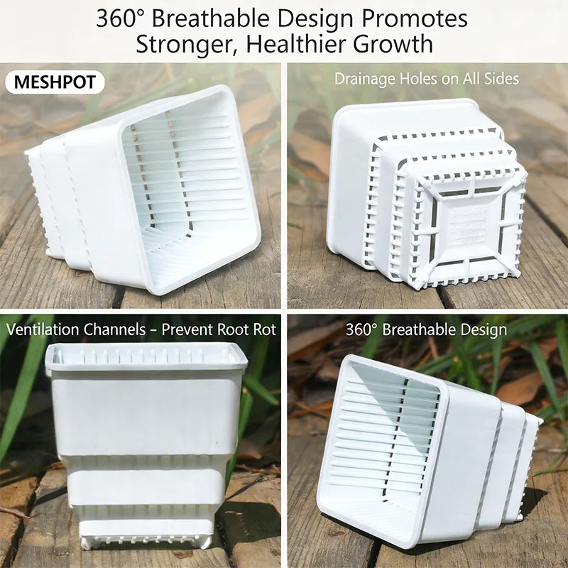 MESHPOT 6 Pack Square Succulent and Cactus Pots