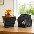 MESHPOT 6 Pack Square Succulent and Cactus Pots