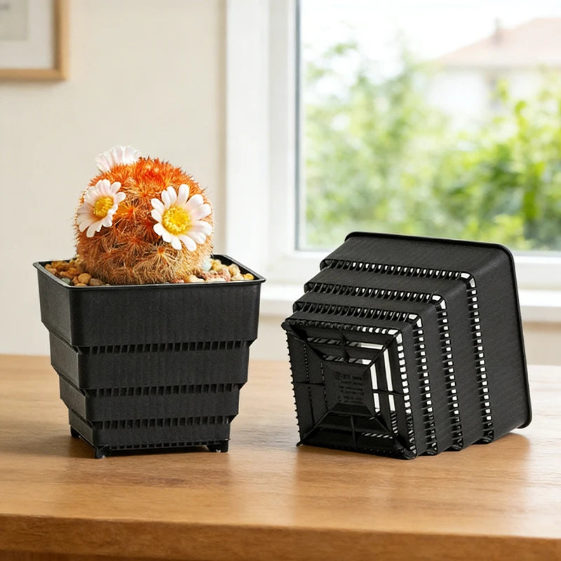 MESHPOT 6 Pack Square Succulent and Cactus Pots