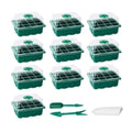 Seed Starter Tray Seedling Kit with Humidity Dome and Base Indoor Mini Greenhouse