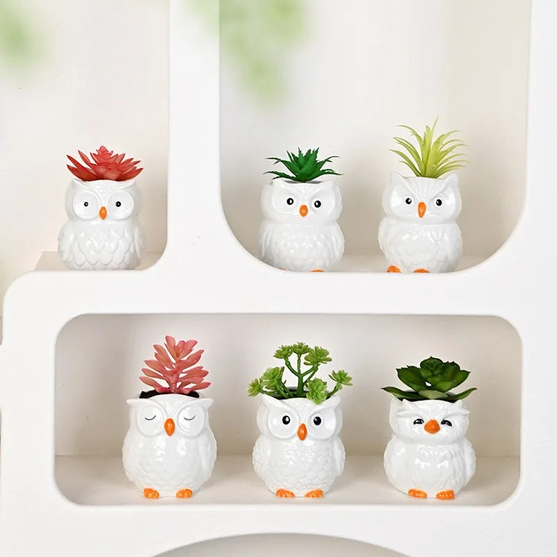 Mini Cute Owl Bonsai Ceramic Succulent Flower Pot