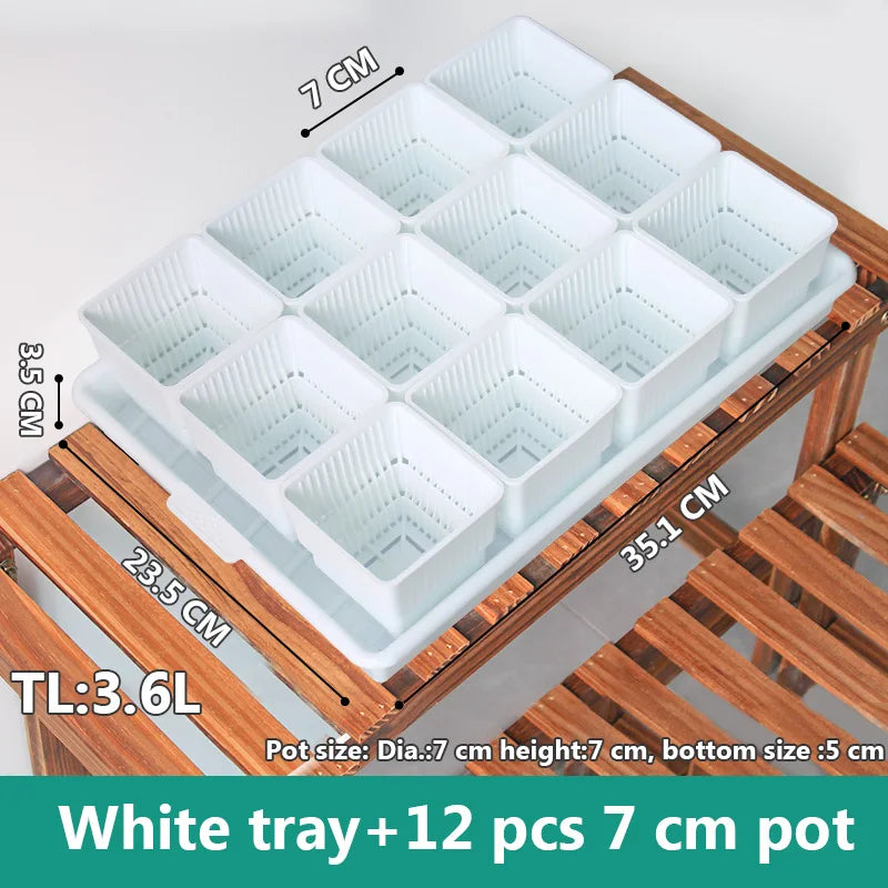 Meshpot Succulent Pot with 360 Degree Ventilation and Drainage