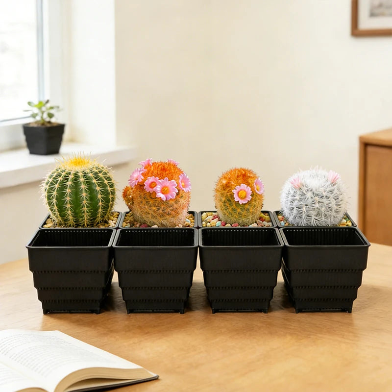 MESHPOT 6 Pack Square Succulent and Cactus Pots