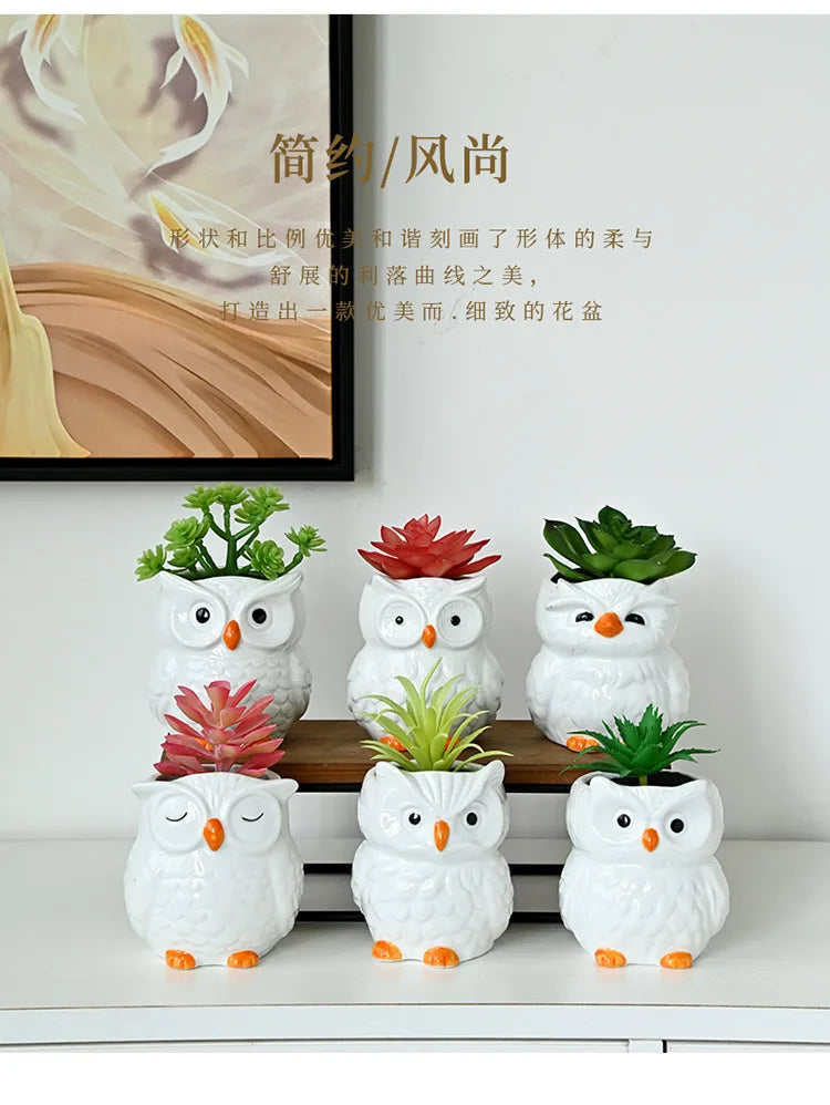 Mini Cute Owl Bonsai Ceramic Succulent Flower Pot