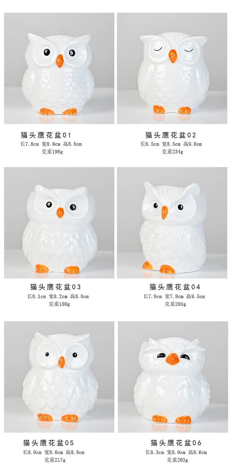Mini Cute Owl Bonsai Ceramic Succulent Flower Pot