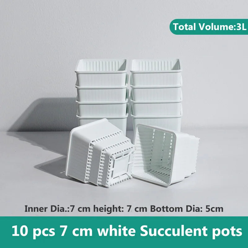Meshpot Succulent Pot with 360 Degree Ventilation and Drainage