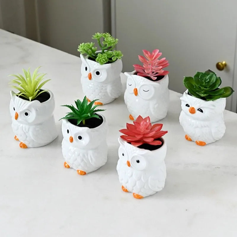 Mini Cute Owl Bonsai Ceramic Succulent Flower Pot