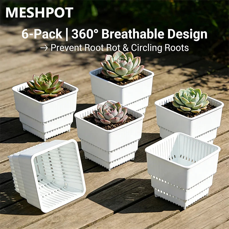 MESHPOT 6 Pack Square Succulent and Cactus Pots