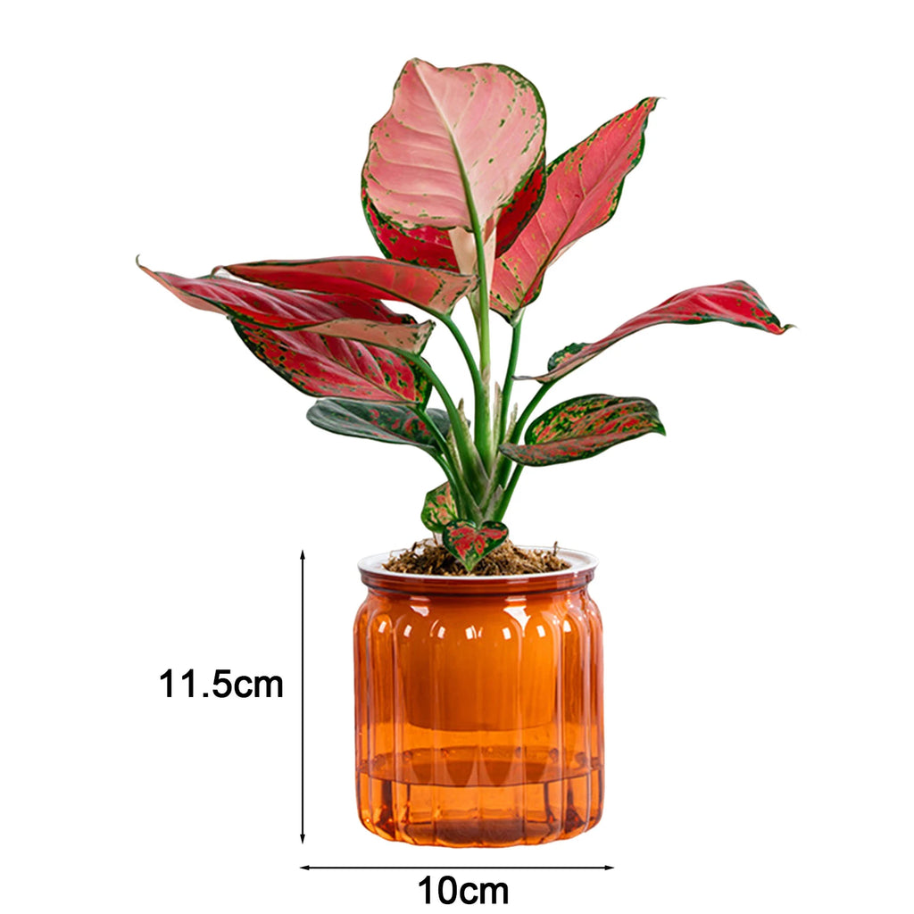 Self-Watering Hydroponic Plant Pot – Modern Desktop Succulent Planter for Home & Office Decor
