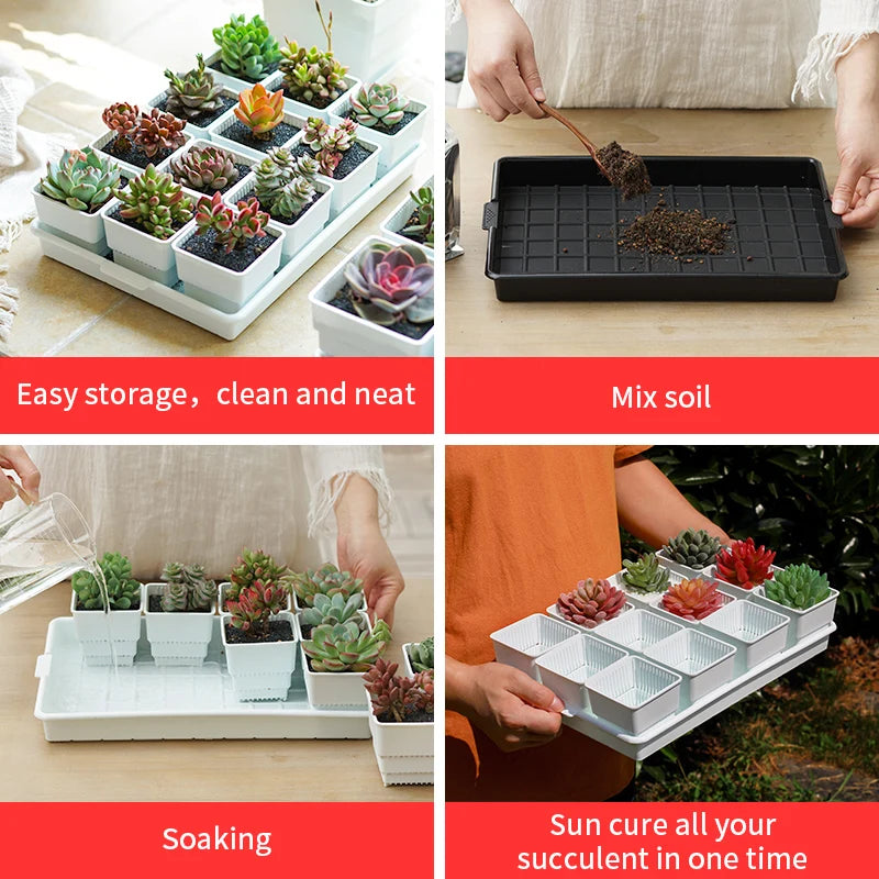 Meshpot Succulent Pot with 360 Degree Ventilation and Drainage
