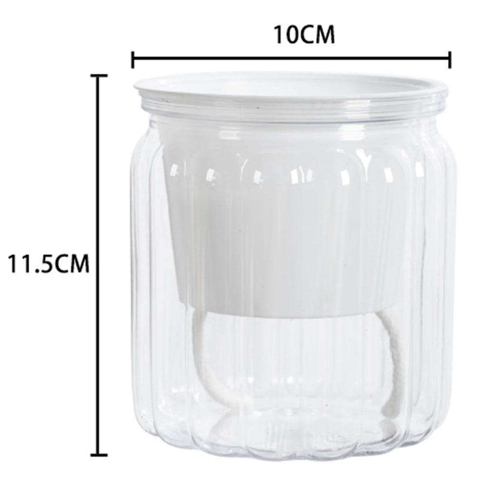 Self-Watering Hydroponic Plant Pot – Modern Desktop Succulent Planter for Home & Office Decor