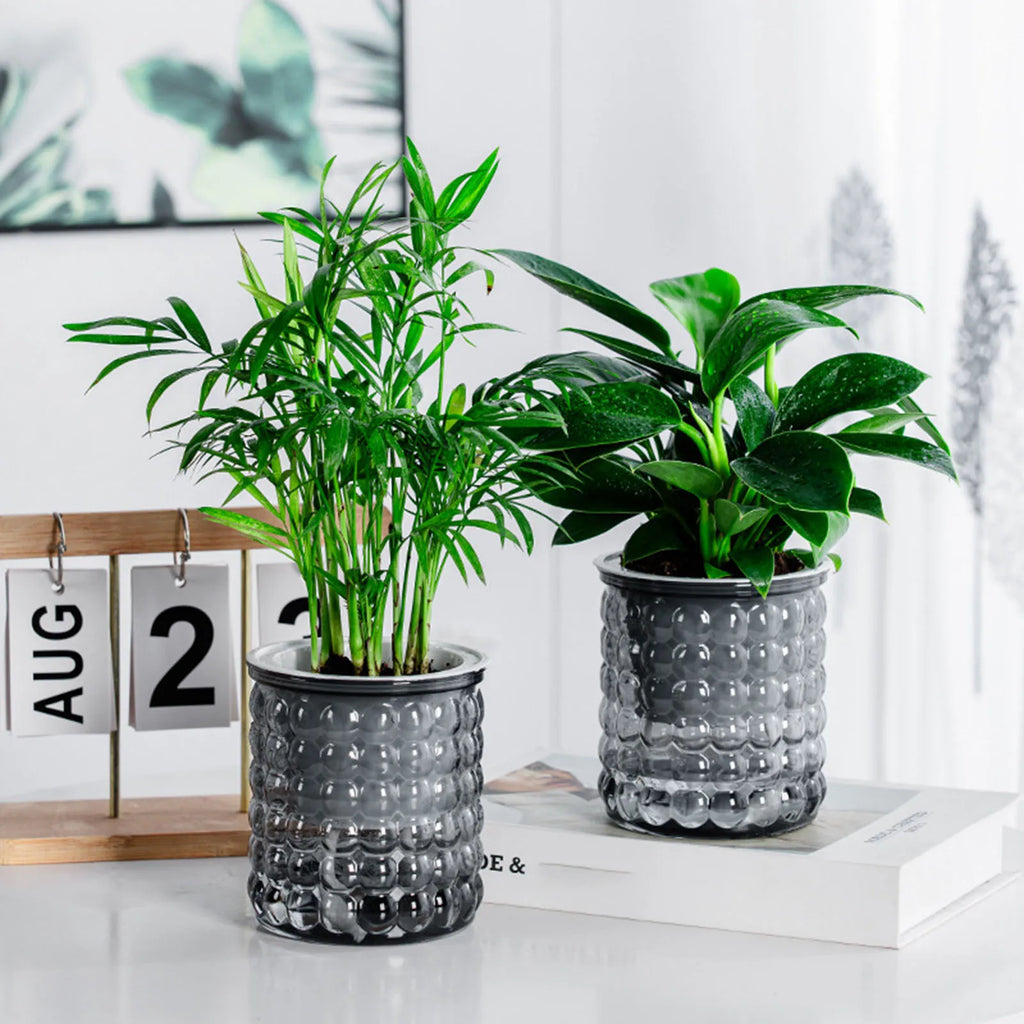 Self-Watering Hydroponic Plant Pot – Modern Desktop Succulent Planter for Home & Office Decor