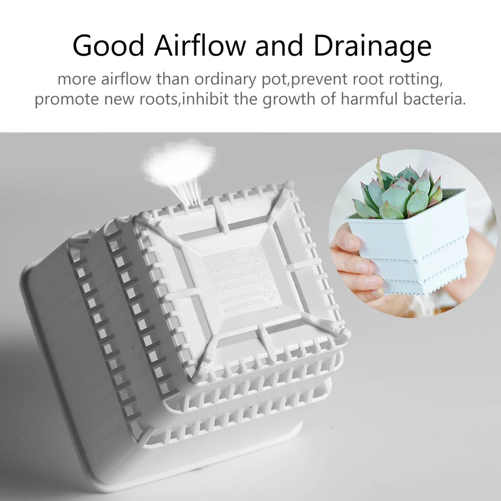 Meshpot Succulent Pot with 360 Degree Ventilation and Drainage