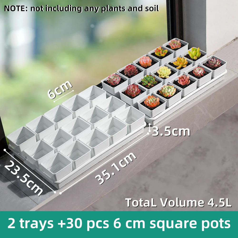 Meshpot Succulent Pot with 360 Degree Ventilation and Drainage