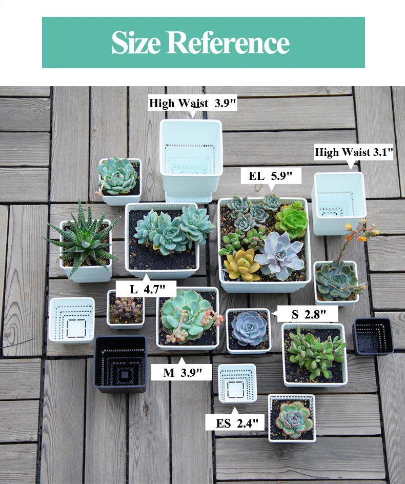 MESHPOT 6 Pack Square Succulent and Cactus Pots