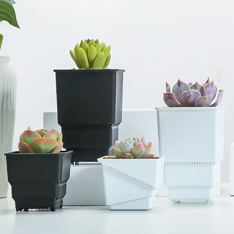 Meshpot Succulent Pot with 360 Degree Ventilation and Drainage