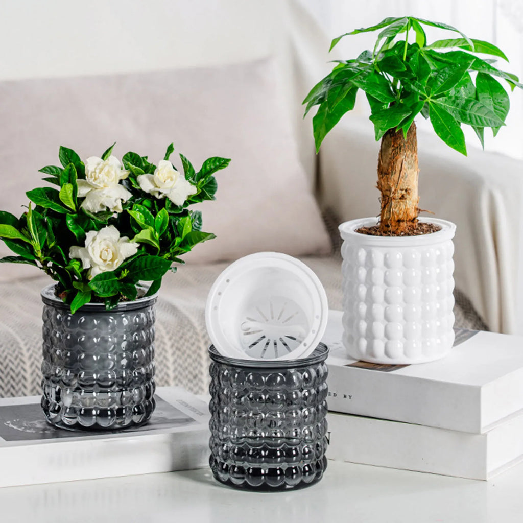 Self-Watering Hydroponic Plant Pot – Modern Desktop Succulent Planter for Home & Office Decor