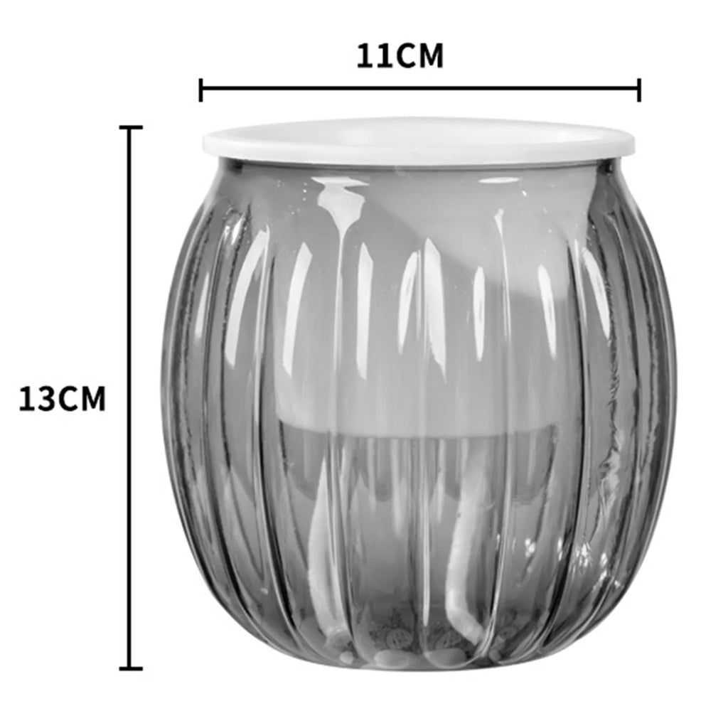 Self-Watering Hydroponic Plant Pot – Modern Desktop Succulent Planter for Home & Office Decor