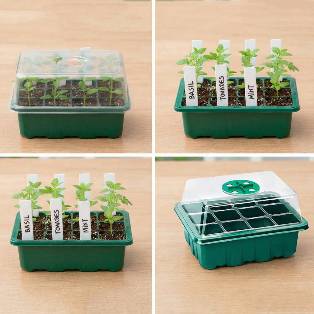 Seed Starter Tray Seedling Kit with Humidity Dome and Base Indoor Mini Greenhouse