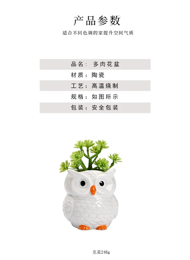 Mini Cute Owl Bonsai Ceramic Succulent Flower Pot