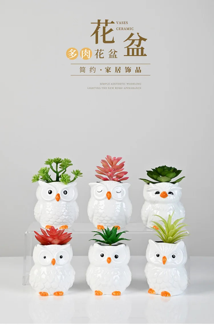 Mini Cute Owl Bonsai Ceramic Succulent Flower Pot