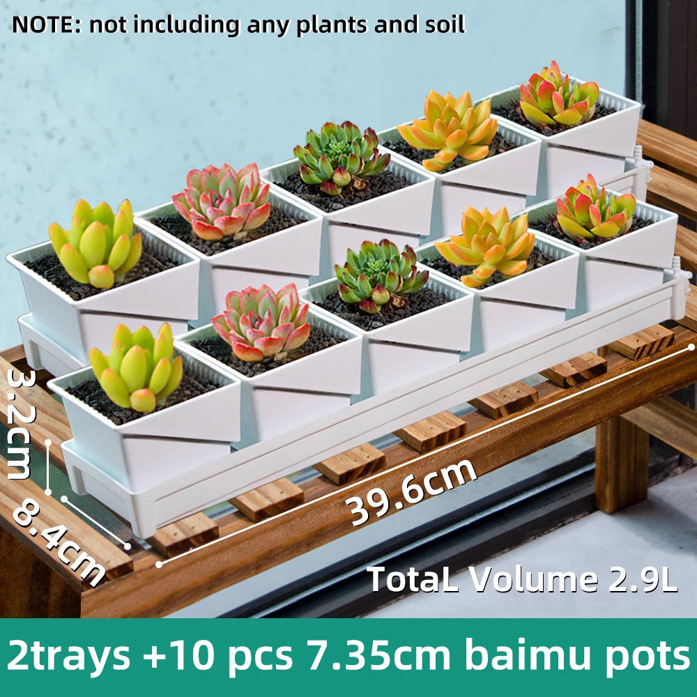 Meshpot Succulent Pot with 360 Degree Ventilation and Drainage