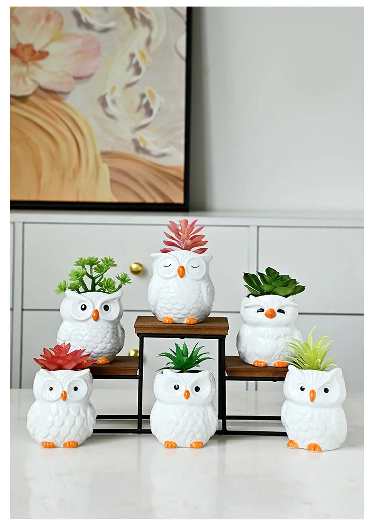 Mini Cute Owl Bonsai Ceramic Succulent Flower Pot