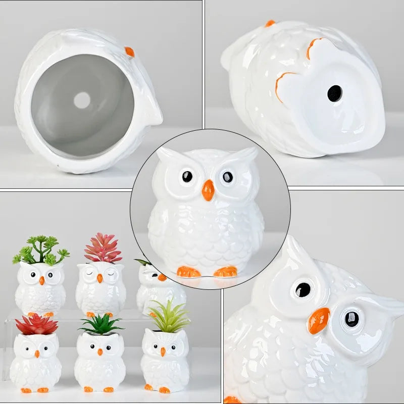 Mini Cute Owl Bonsai Ceramic Succulent Flower Pot