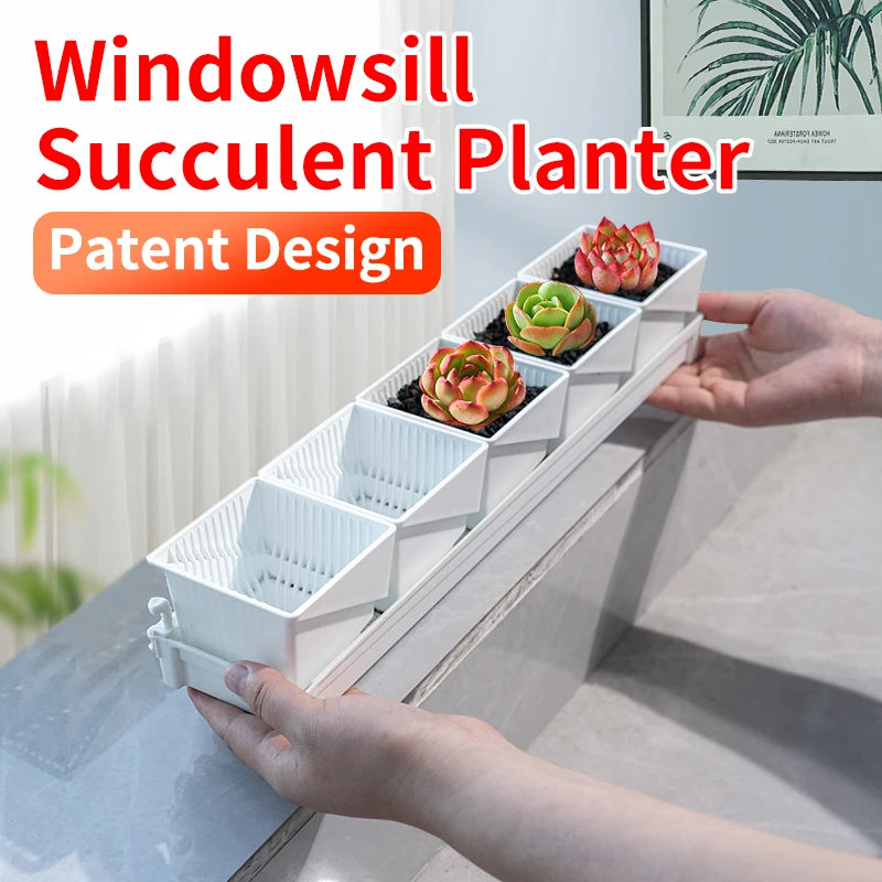 Meshpot Succulent Pot with 360 Degree Ventilation and Drainage
