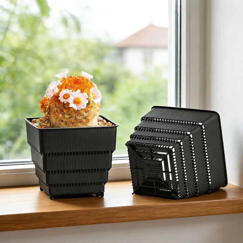 MESHPOT 6 Pack Square Succulent and Cactus Pots