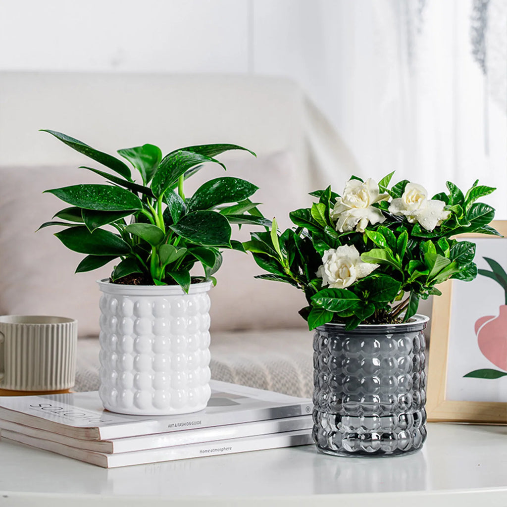 Self-Watering Hydroponic Plant Pot – Modern Desktop Succulent Planter for Home & Office Decor