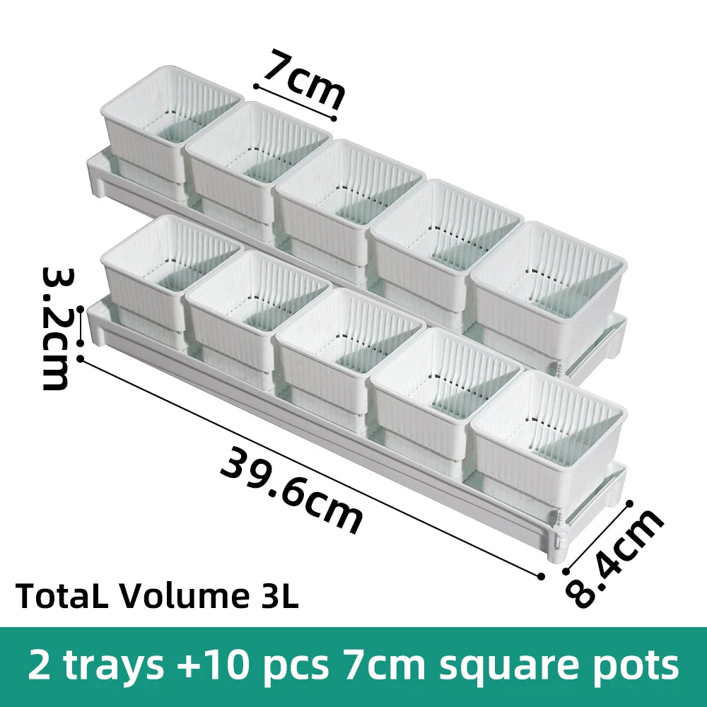 Meshpot Succulent Pot with 360 Degree Ventilation and Drainage