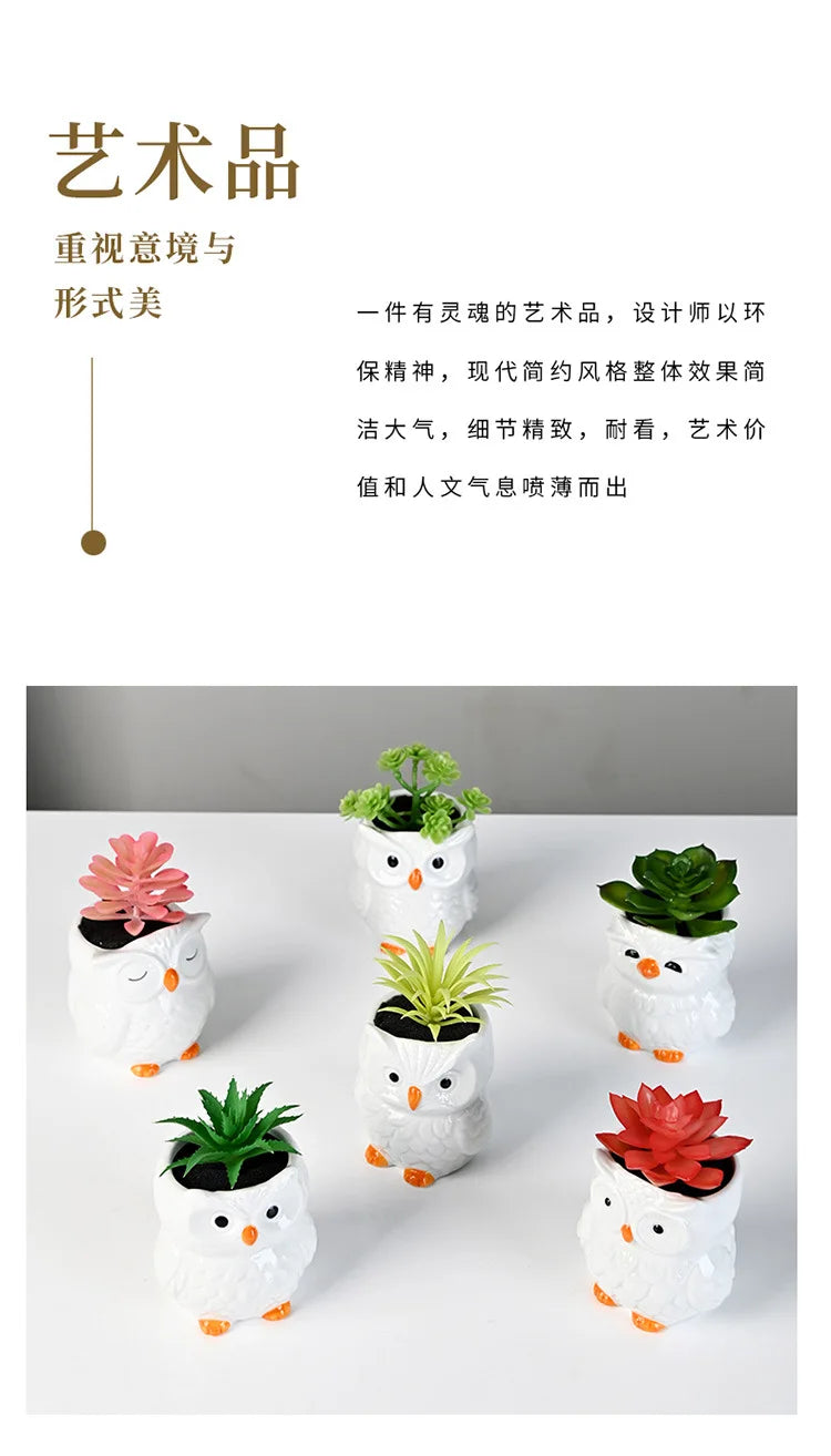 Mini Cute Owl Bonsai Ceramic Succulent Flower Pot