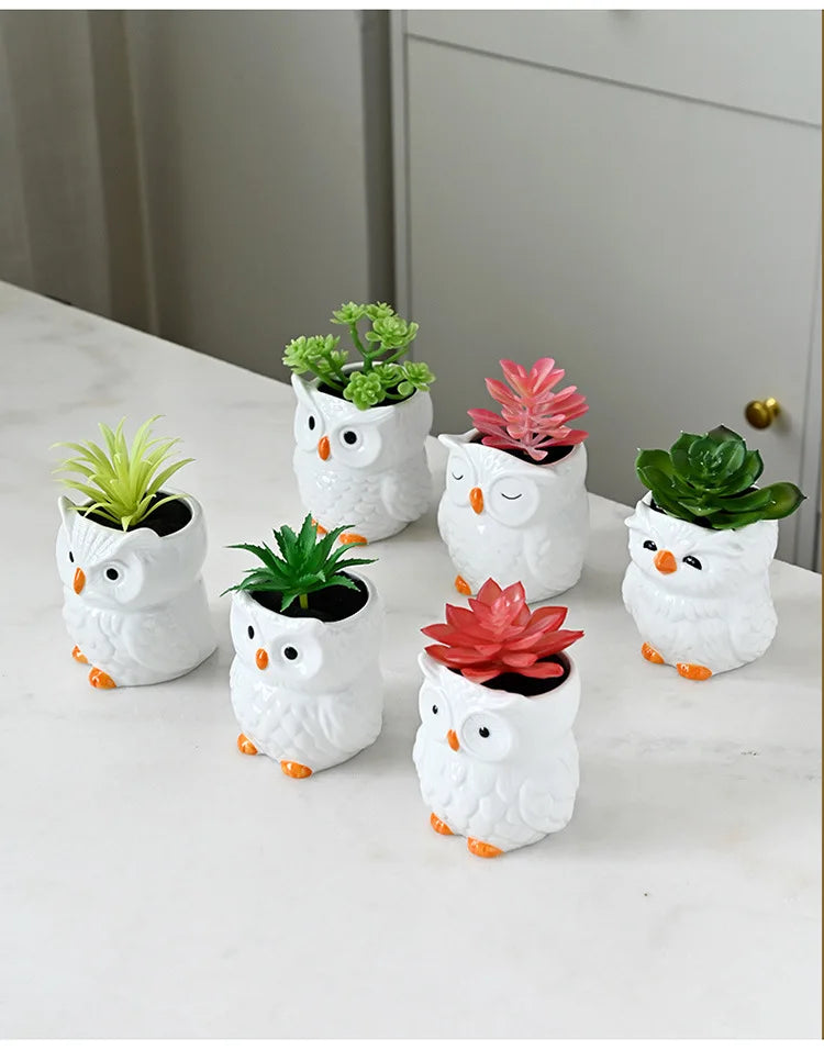 Mini Cute Owl Bonsai Ceramic Succulent Flower Pot