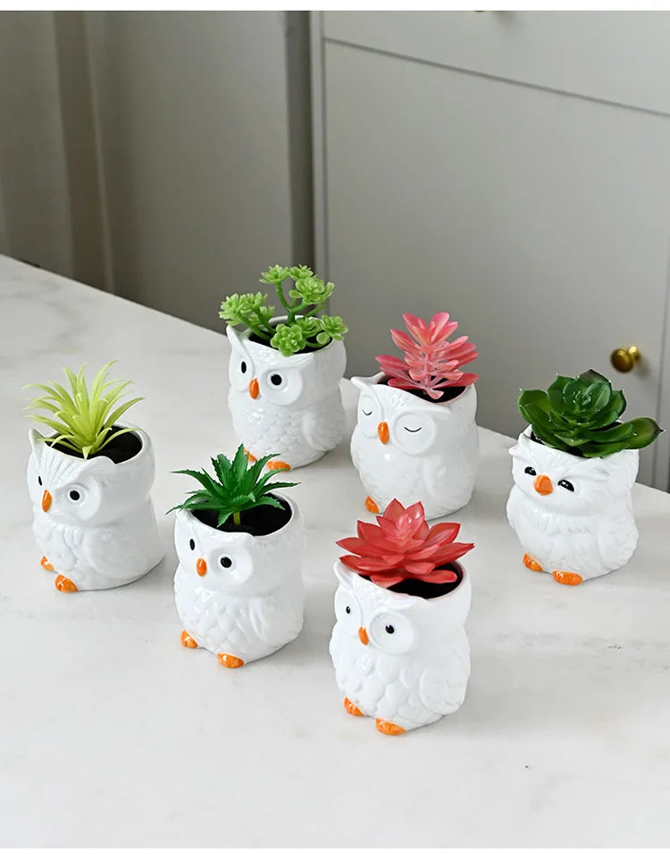 Mini Cute Owl Bonsai Ceramic Succulent Flower Pot