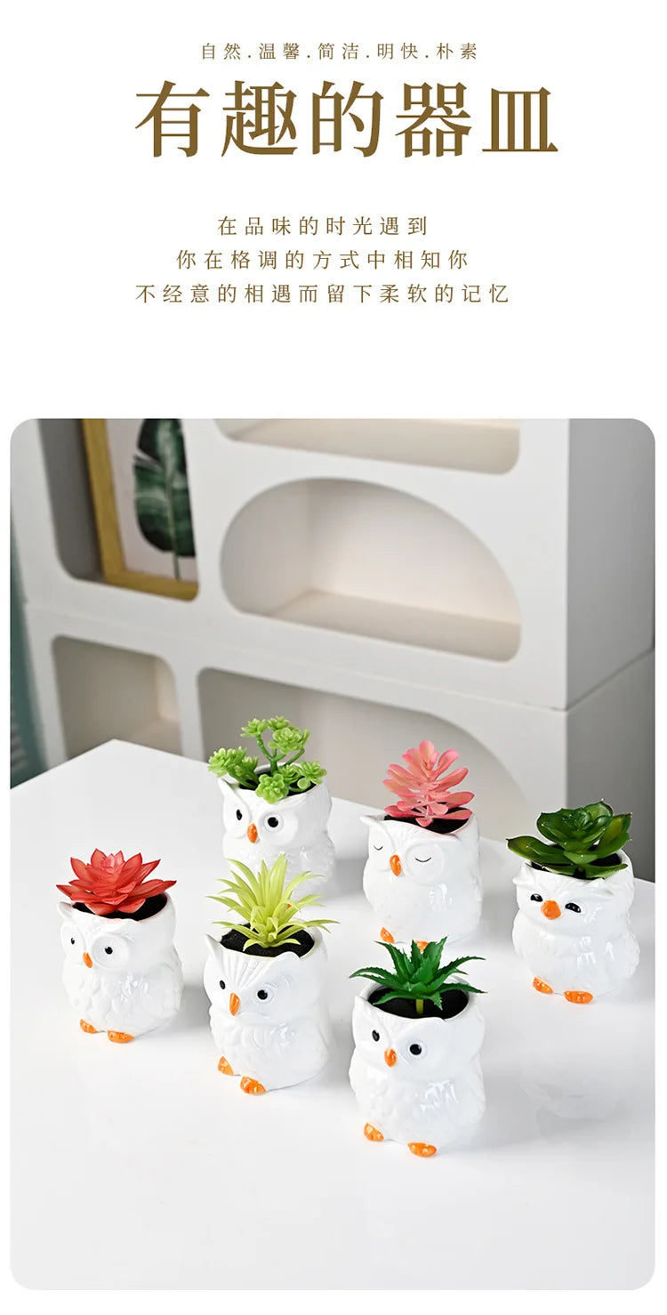 Mini Cute Owl Bonsai Ceramic Succulent Flower Pot