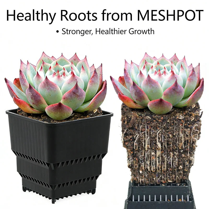 MESHPOT 6 Pack Square Succulent and Cactus Pots