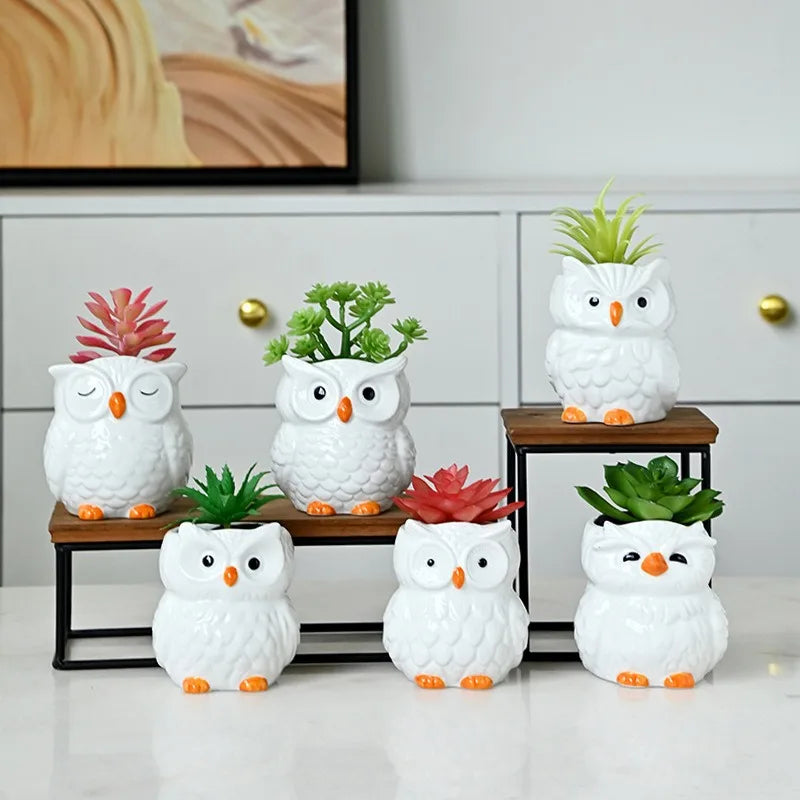 Mini Cute Owl Bonsai Ceramic Succulent Flower Pot