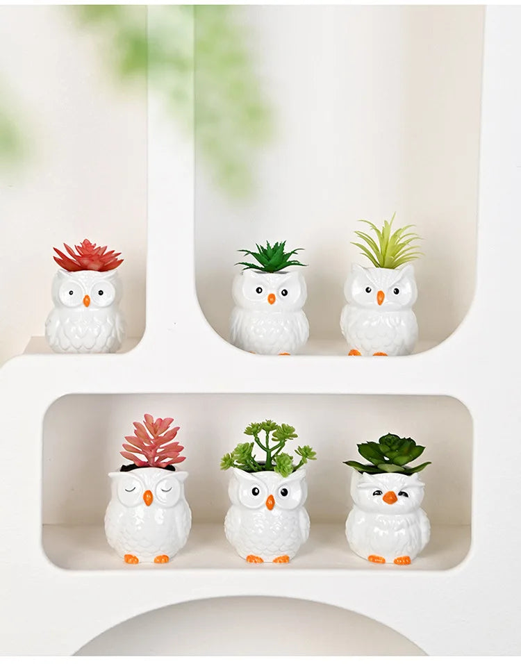 Mini Cute Owl Bonsai Ceramic Succulent Flower Pot