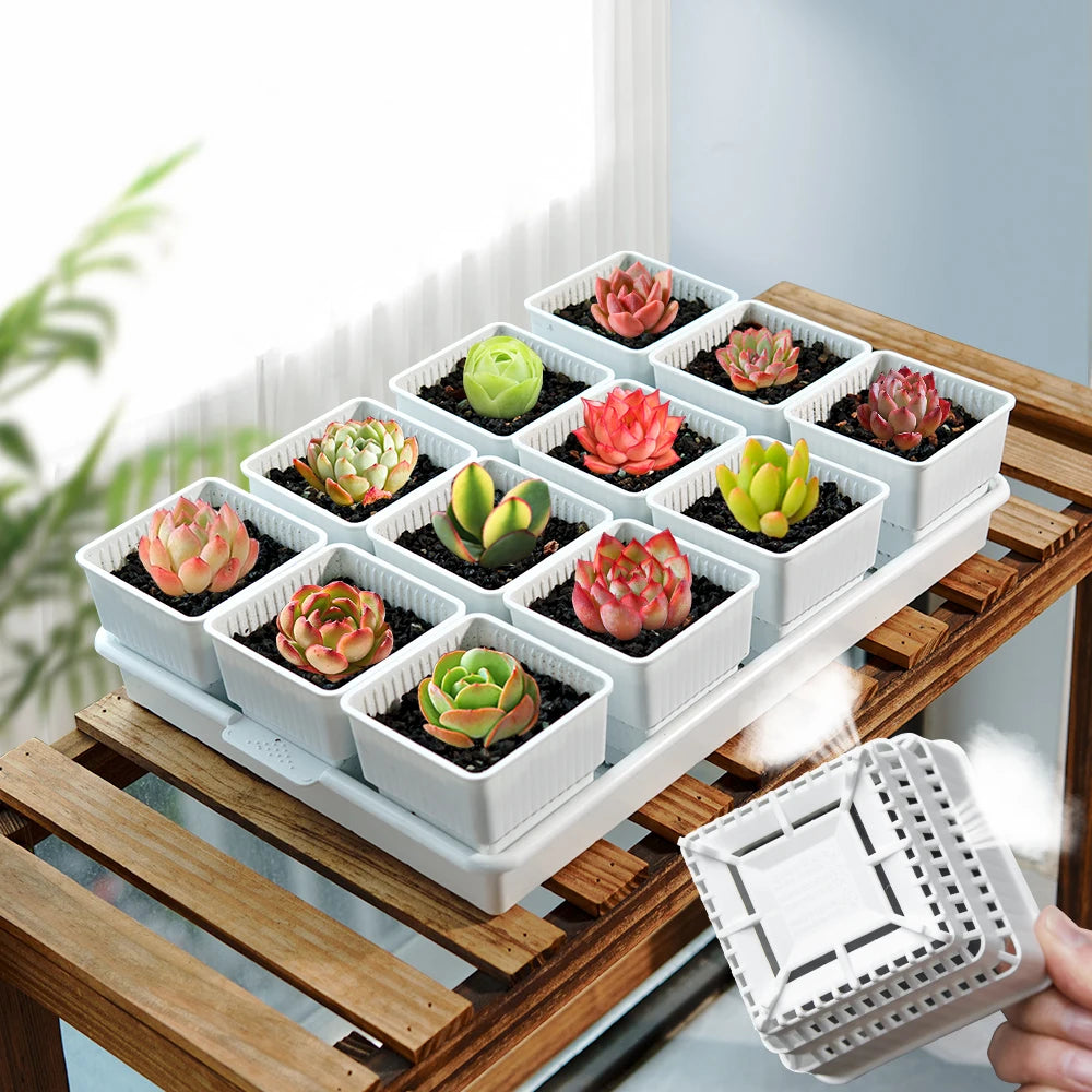 Meshpot Succulent Pot with 360 Degree Ventilation and Drainage