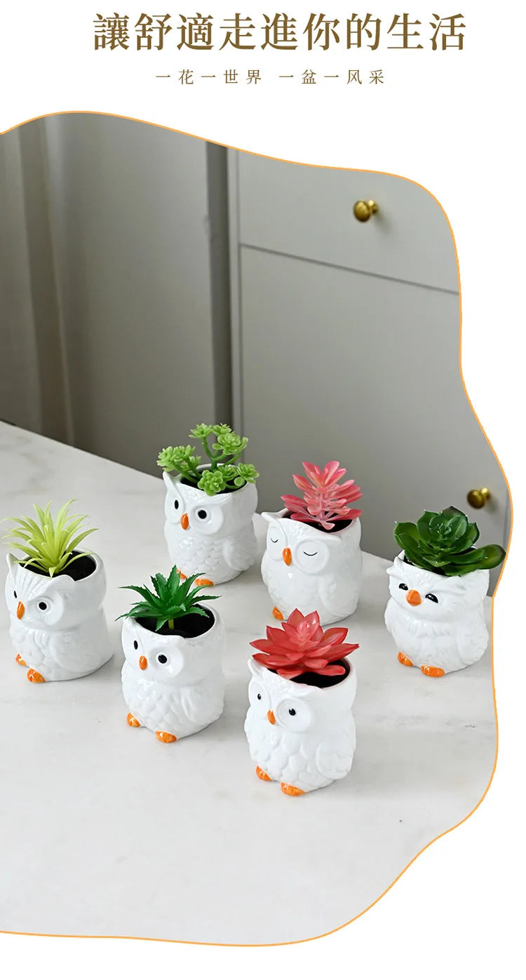 Mini Cute Owl Bonsai Ceramic Succulent Flower Pot