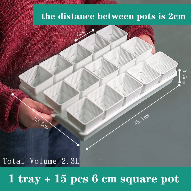 Meshpot Succulent Pot with 360 Degree Ventilation and Drainage