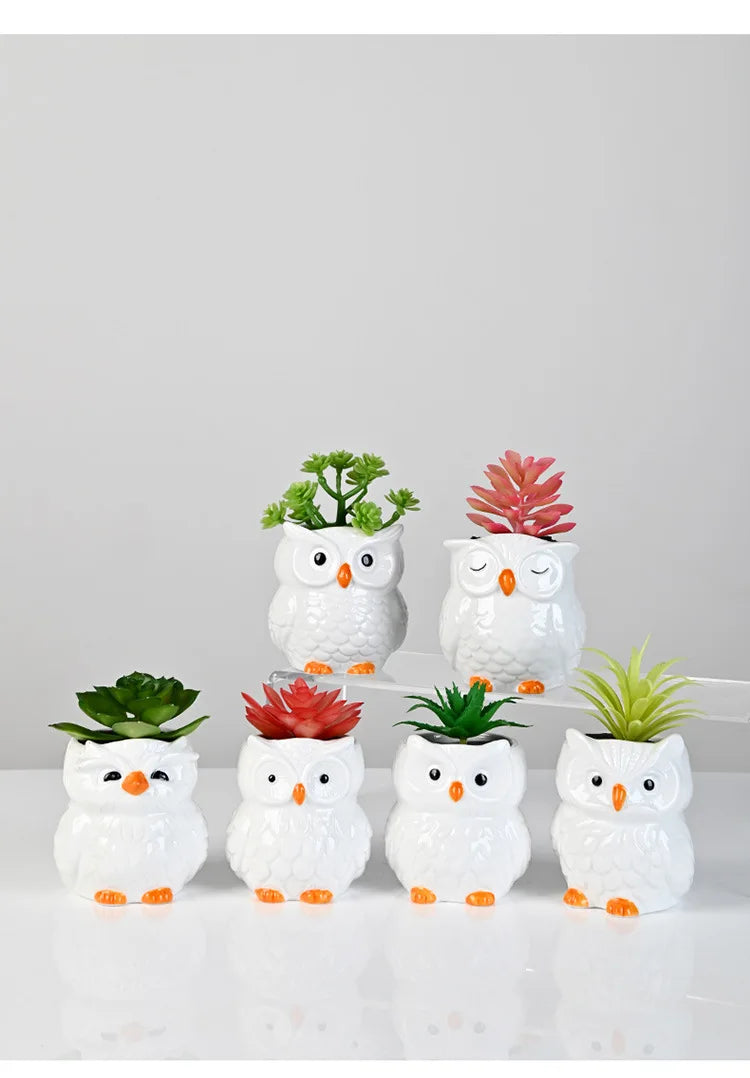Mini Cute Owl Bonsai Ceramic Succulent Flower Pot